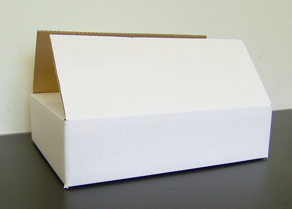 ダンボール 白 薄型80サイズ 180枚セット(60枚×3梱包) (送料込み 